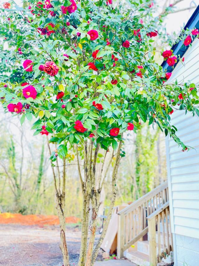 Bountyland Cottage - Lake Keowee - Mountains - Clemson University Сенека Екстериор снимка